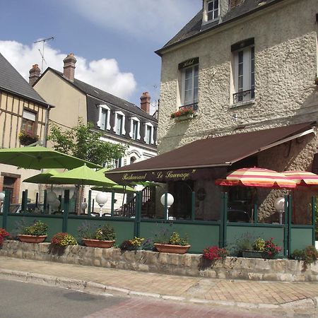 Le Sauvage Hotel Château-Renard Buitenkant foto